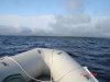 DSC01638.JPG