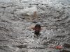DSC01680.JPG