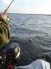 DSC01685.JPG