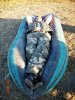 DSCN3206.jpg
