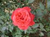 vacation_0044.JPG