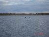DSC01716.JPG
