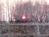 P1010062.JPG