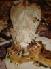 DSC03249.JPG
