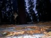 100_6818.JPG