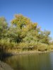 Отпуск_0064.JPG