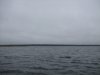 DSCF2483.jpg