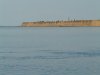 P1000215.JPG