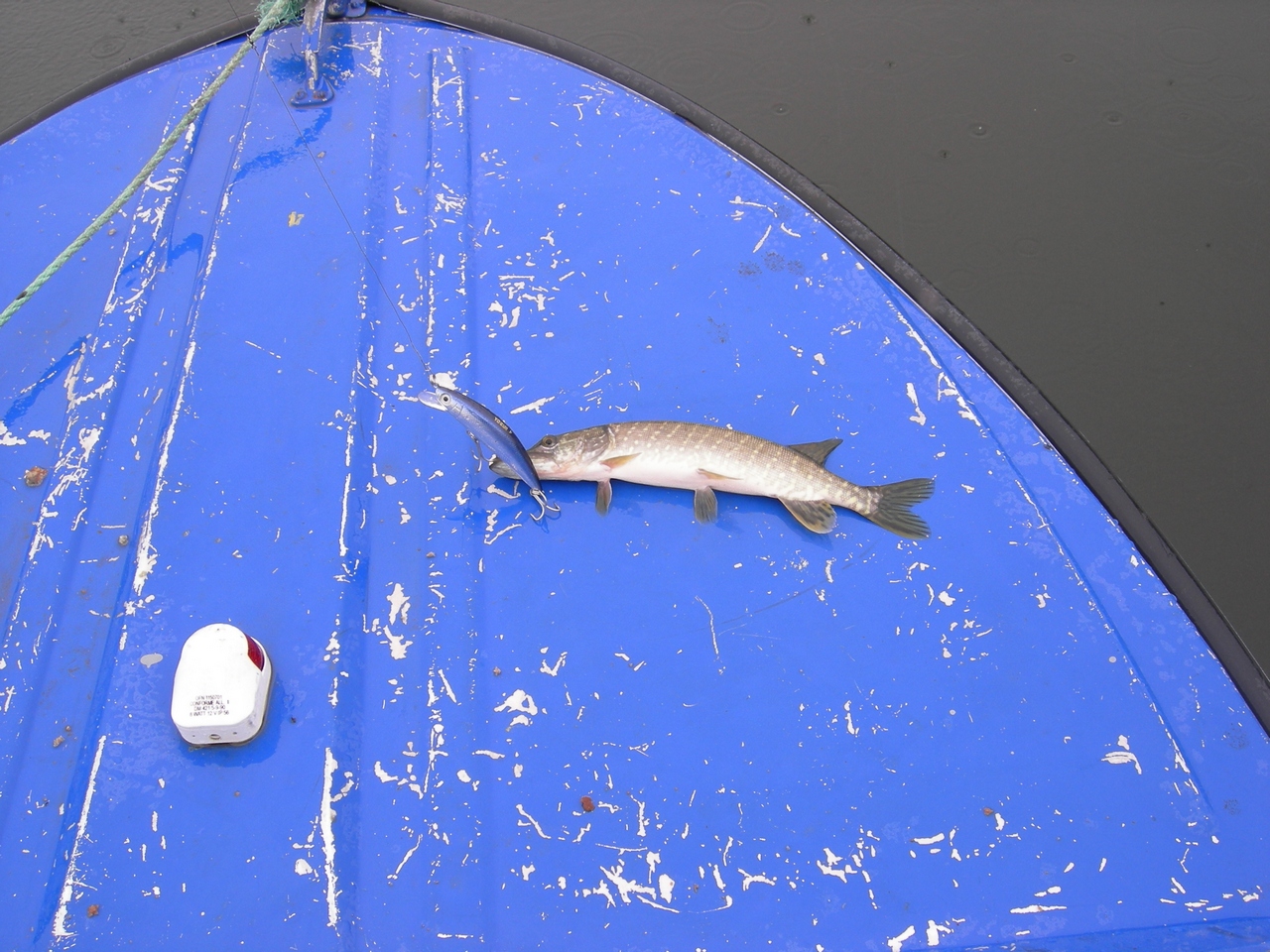 Дельта Днепра 13-09-08