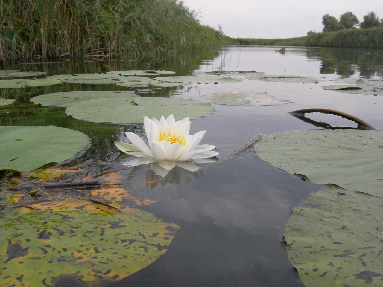 Дельта Днепра 13-09-08